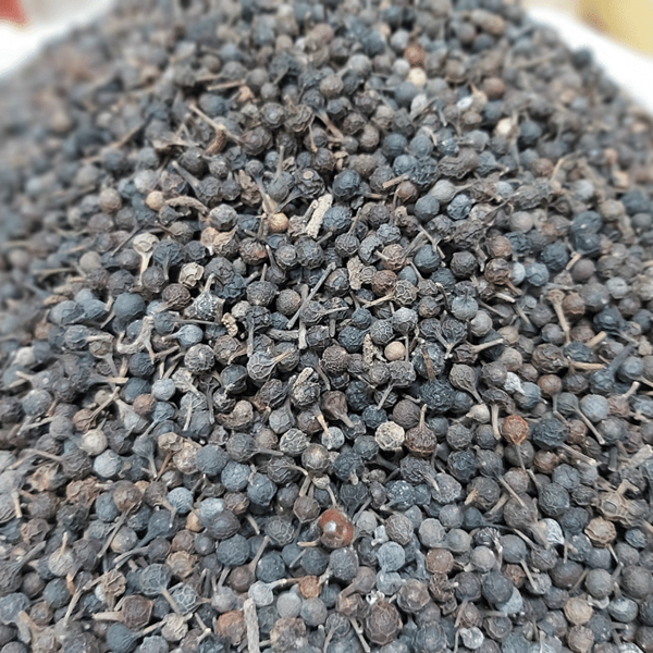 kpcini-mukher-durgndh-knthswr-zoun-durwlta-oo-muutr-smszar-prakrritik-veshj-smadhan