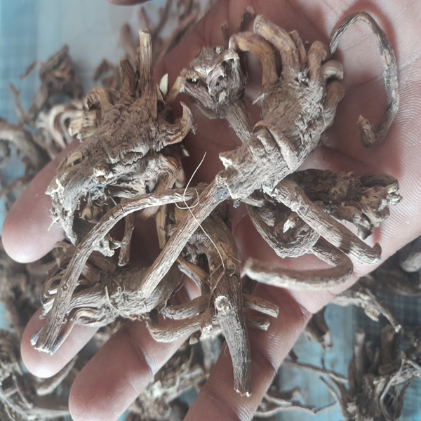 akrkra-pkshaghat-srdi-kasi-oo-snayubik-durwltay-upkaree-veshj-muul