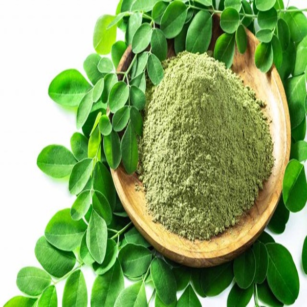 sjina-patar-gunnra-24ti-rog-prtirodhkaree-gune-vrpur-prakrritik-skti