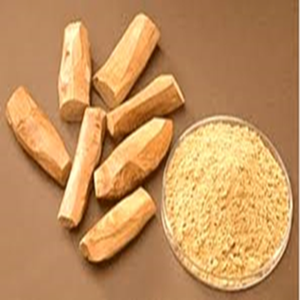 primizam-cndn-cndn-sada-ebng-lal-twker-ztn-ozaromatherapi-ebng-azurwedik