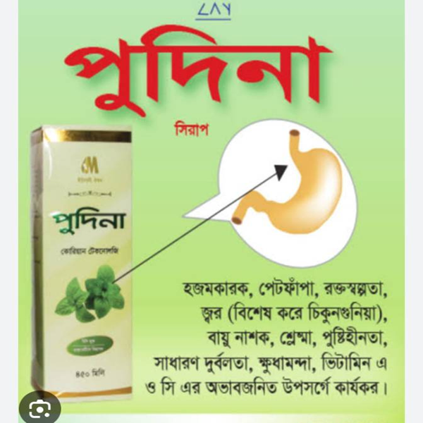 পুদিনা ক্যাপসুল – হজমশক্তি বৃদ্ধি ও দুর্বলতা দূর করতে প্রাকৃতিক সমাধান