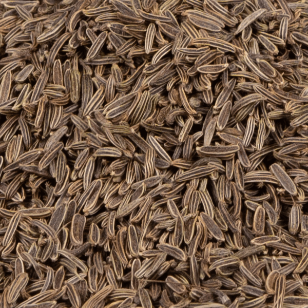 sahi-jira-hjm-rktcap-oo-ruupcrcay-bhu-gunsmpnn-prakrritik-veshj