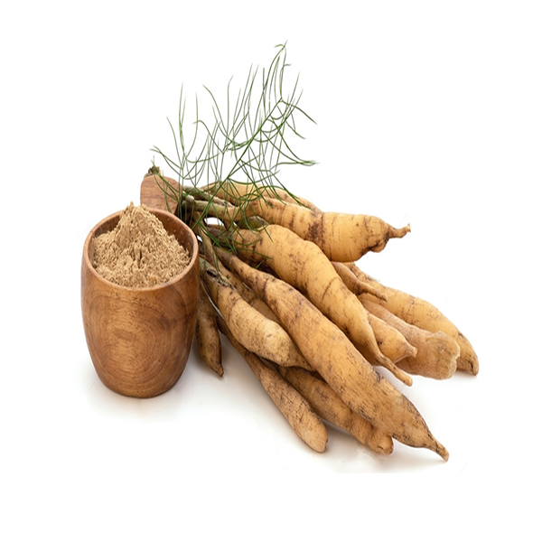 simul-muul-cotton-tree-root-sukrbrdhk-durwlta-oo-rktsrabe-upkaree-veshj