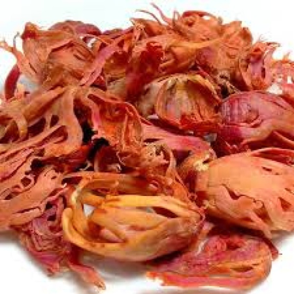 ztrik-hjm-skti-paksthlee-oo-ontrer-ztne-sktisalee-veshj-smadhan